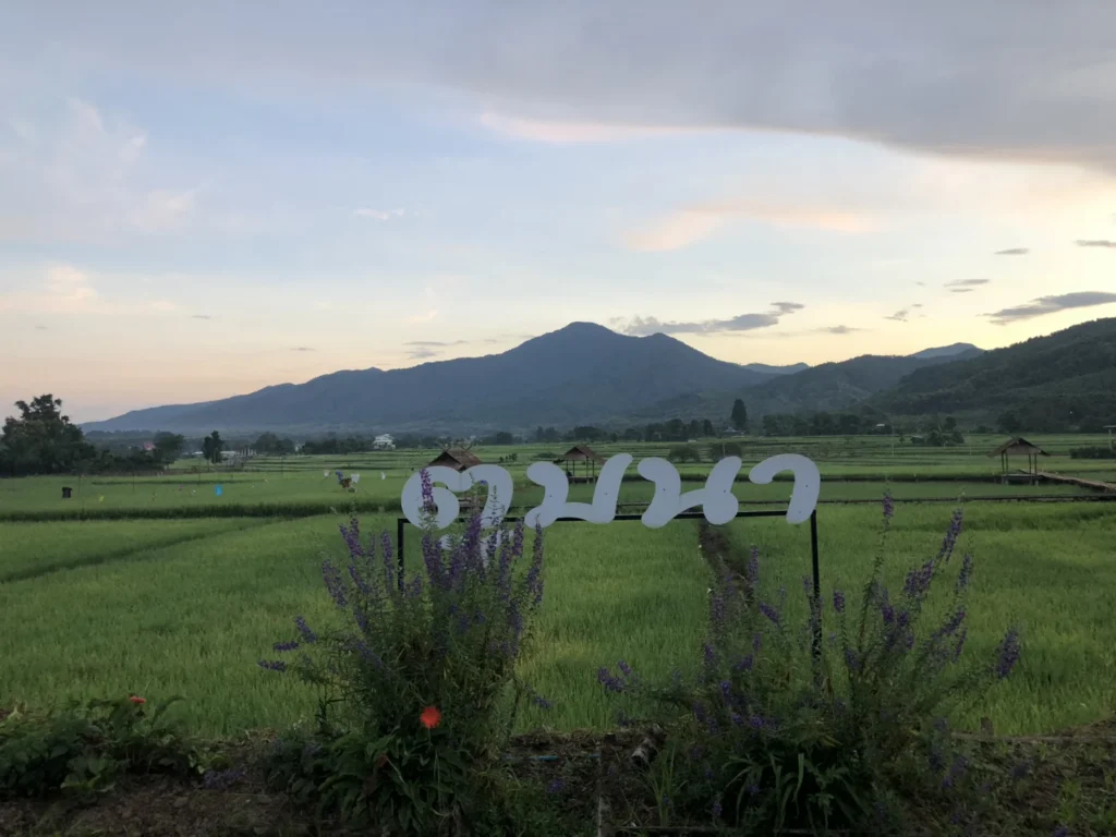ภาพบรรยากาศ 17