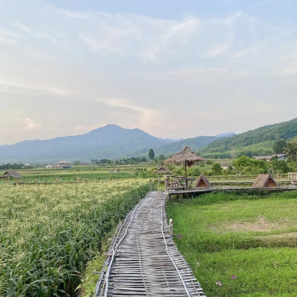 ภาพบรรยากาศ 30