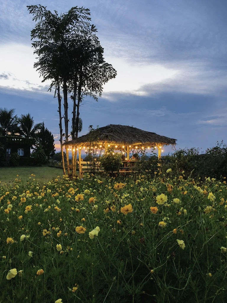 ภาพบรรยากาศ 9