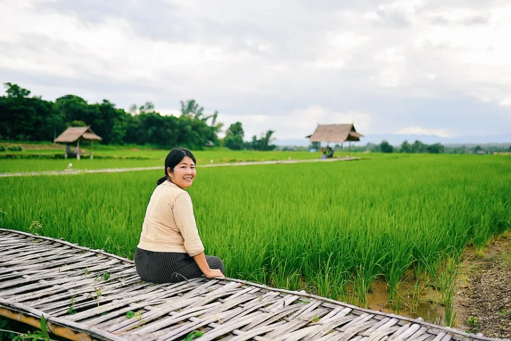 ภาพบรรยากาศ 12
