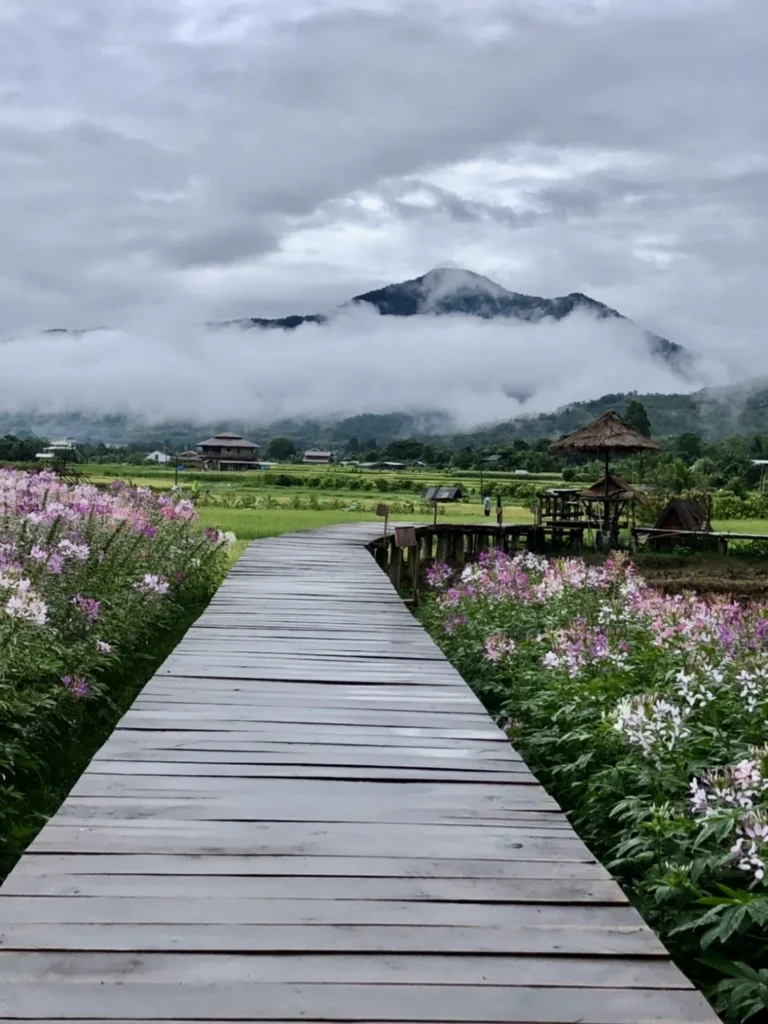 ภาพบรรยากาศ 34