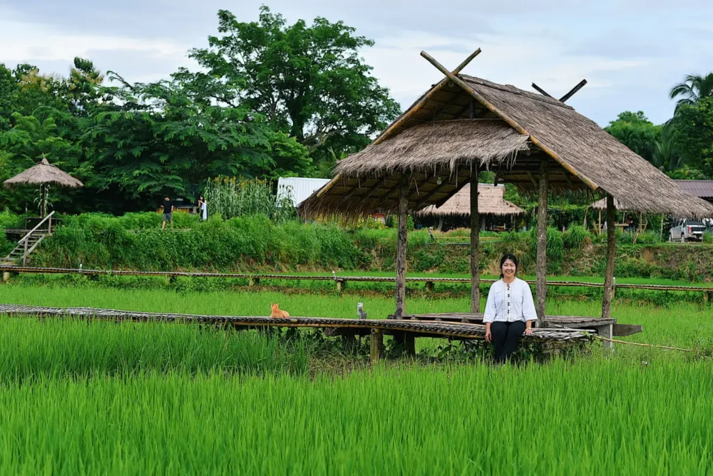 ภาพบรรยากาศ 13