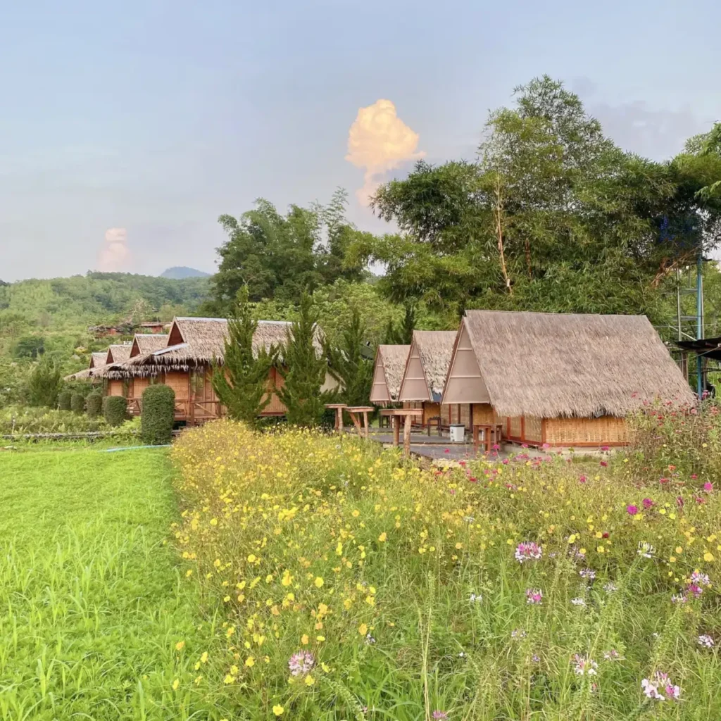 ภาพบรรยากาศ 29