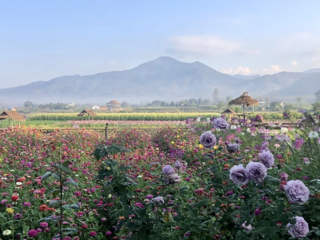 ภาพบรรยากาศ 28