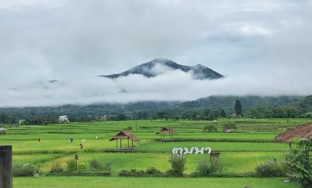 ภาพบรรยากาศ 9