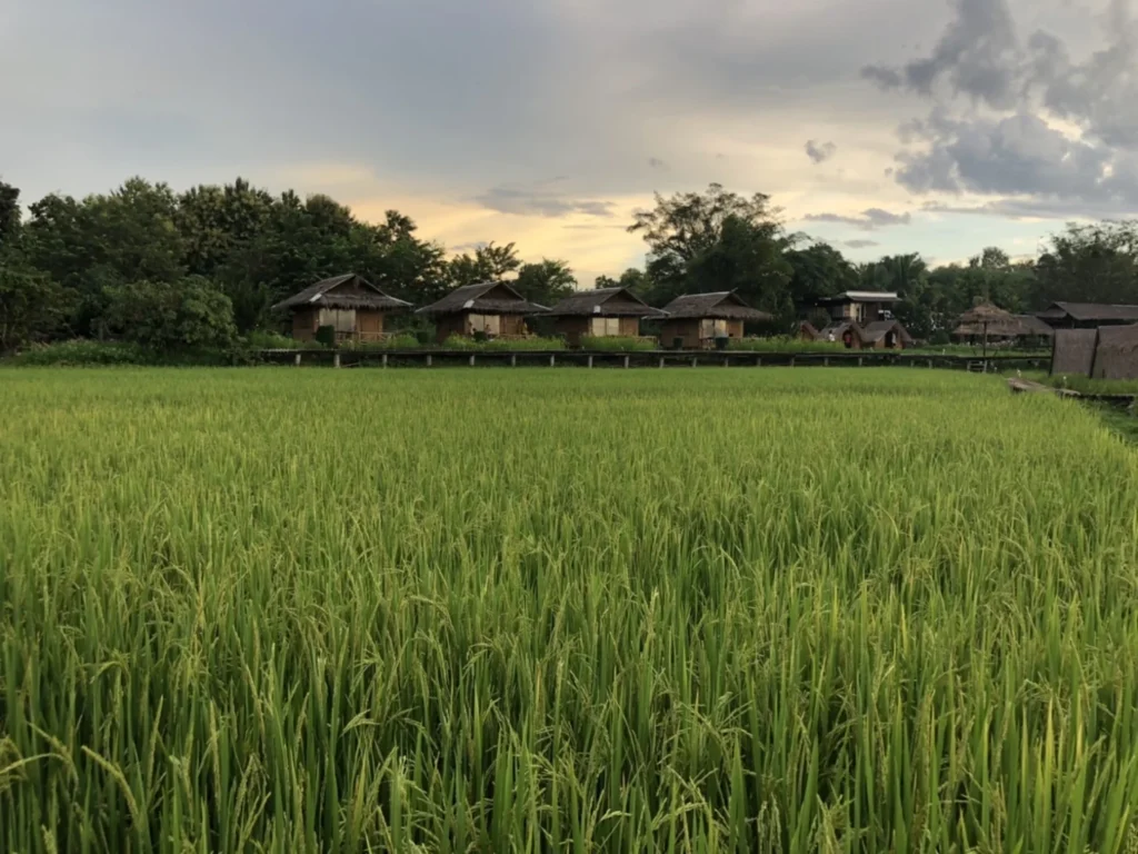 ภาพบรรยากาศ 26