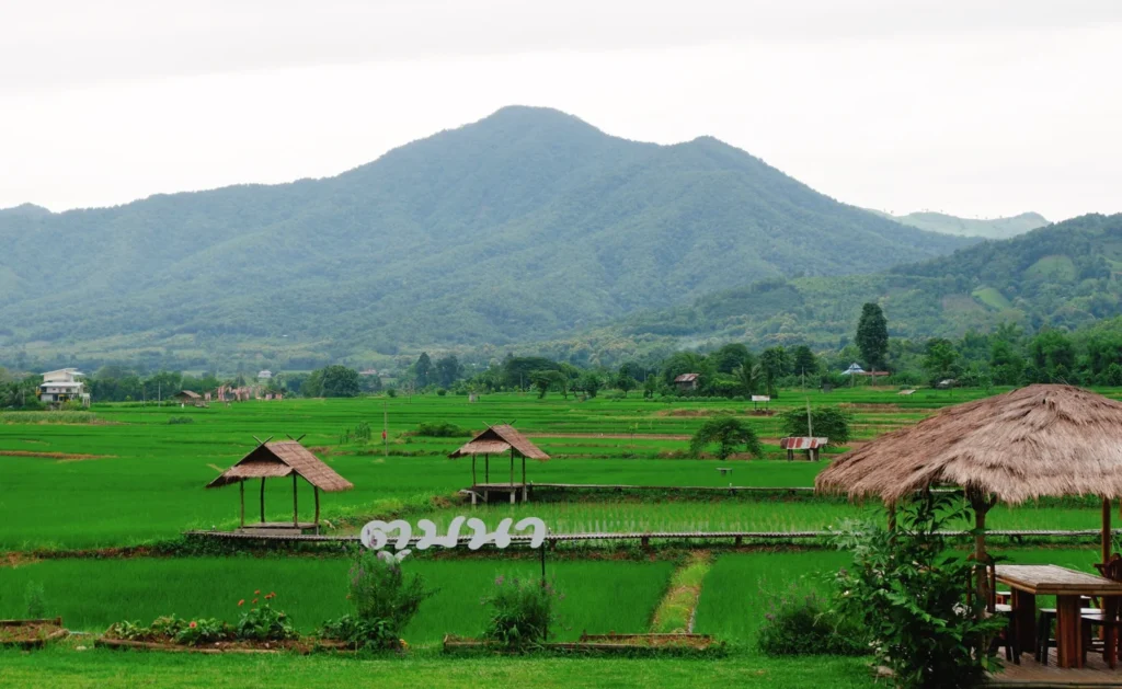 ภาพบรรยากาศ 7