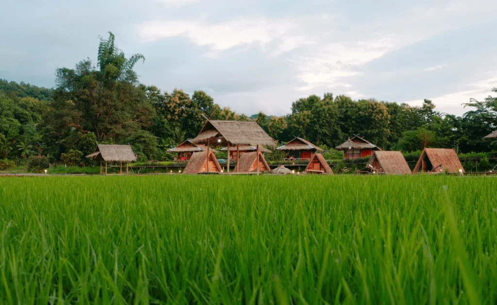 ภาพบรรยากาศ 8