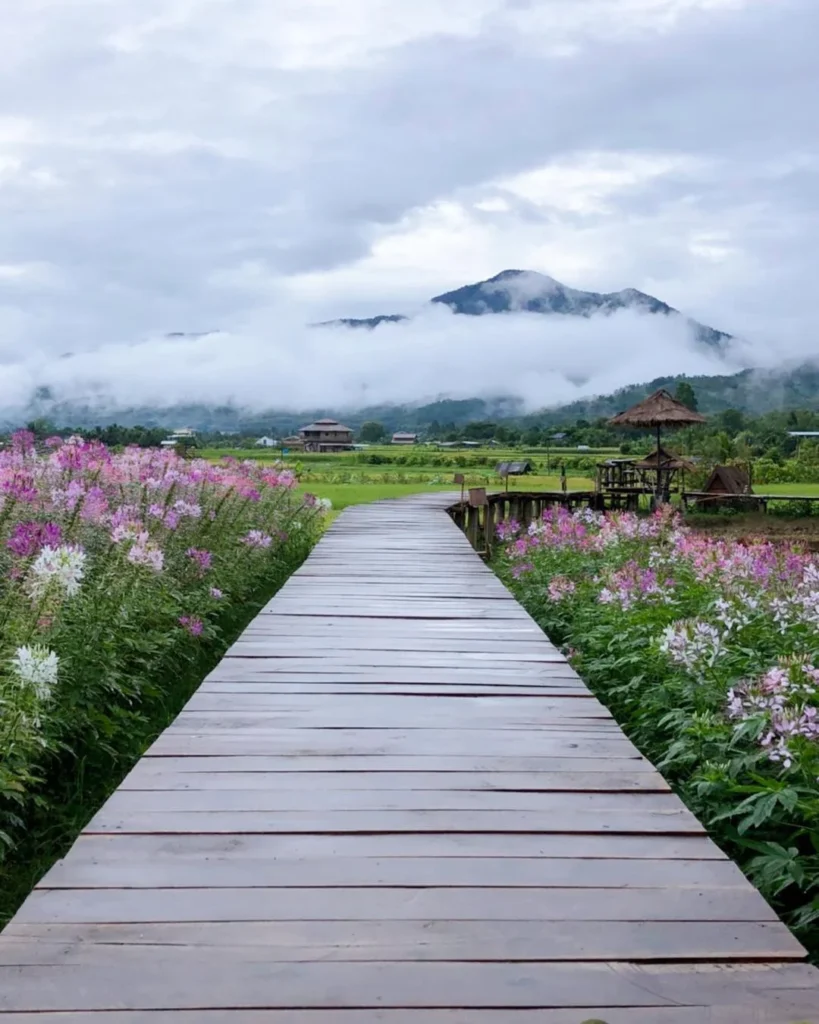 ภาพบรรยากาศ 1